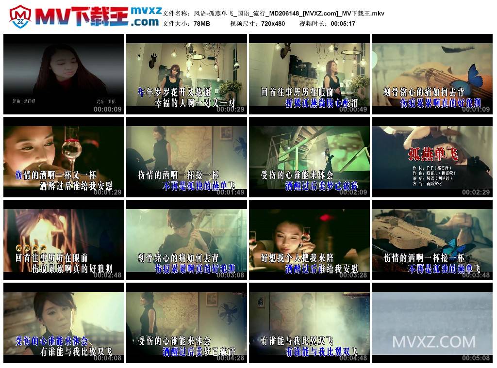 风语-孤燕单飞_国语_流行_MD206148